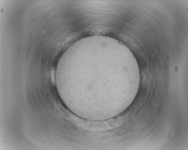 X0000088220042200706051333