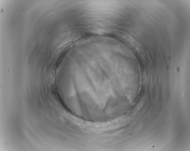 X0000088220043200706051333