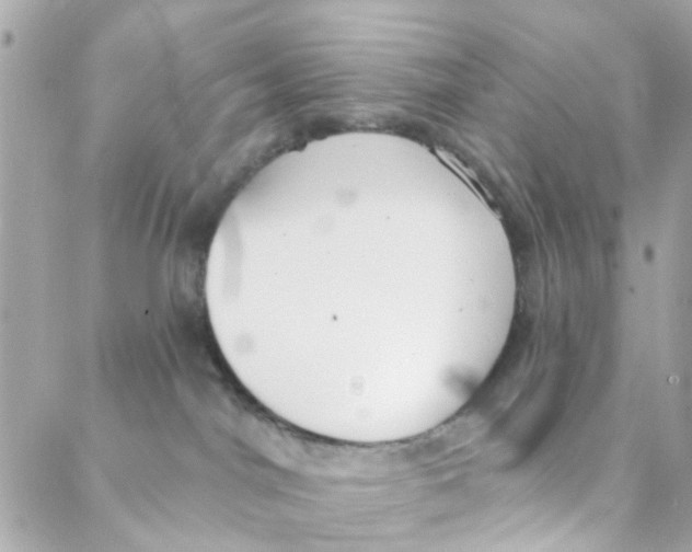 X0000088220044200706051333