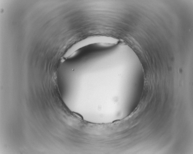 X0000088220045200706051333