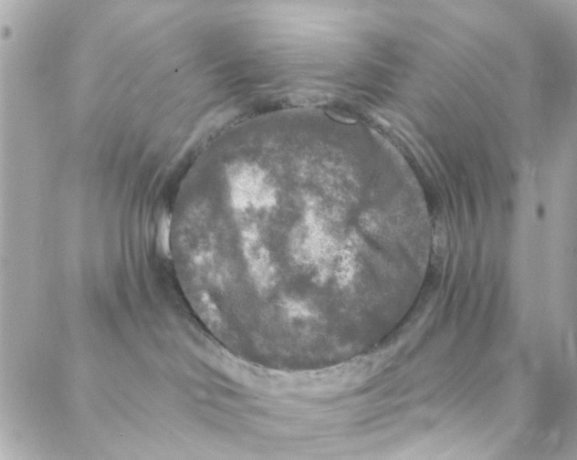 X0000088220046200706051333