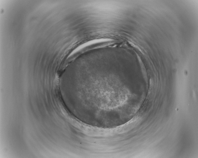 X0000088220048200706051333