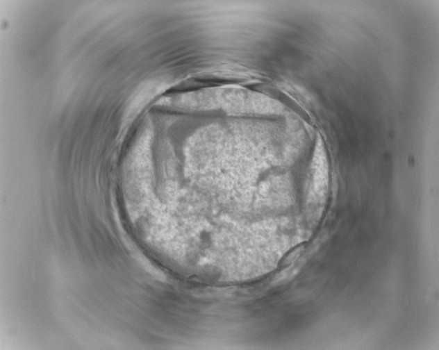 X0000088220049200706051333