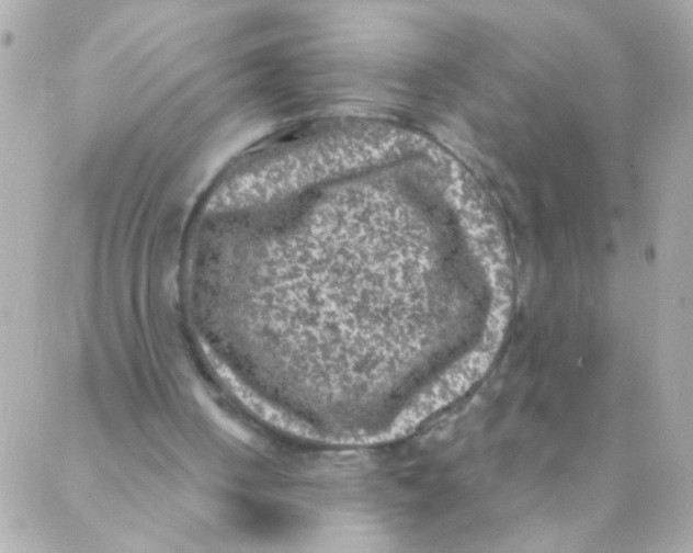 X0000088220050200706051333