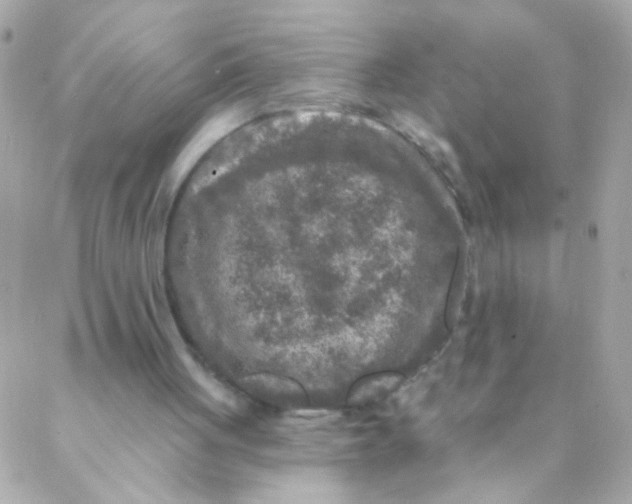 X0000088220051200706051333