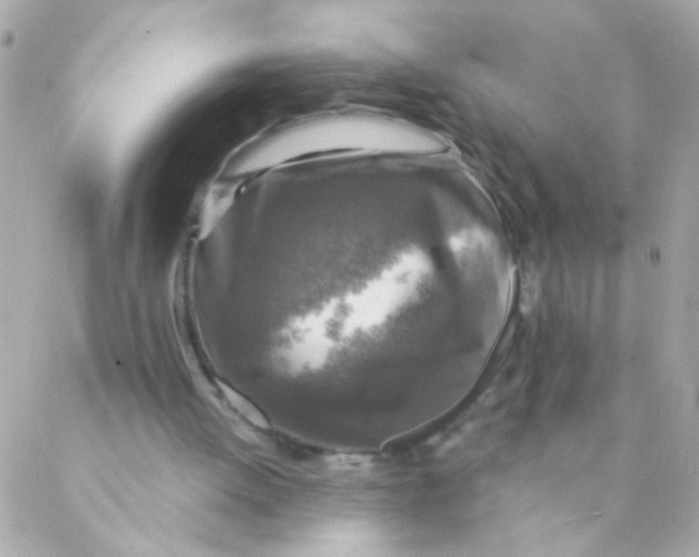 X0000088220052200706051333