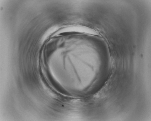 X0000088220054200706051333