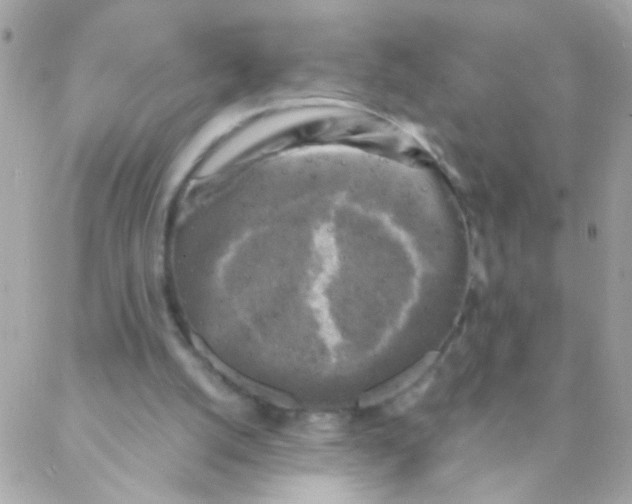 X0000088220056200706051333