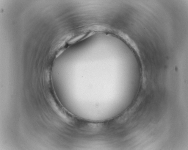 X0000088220057200706051333