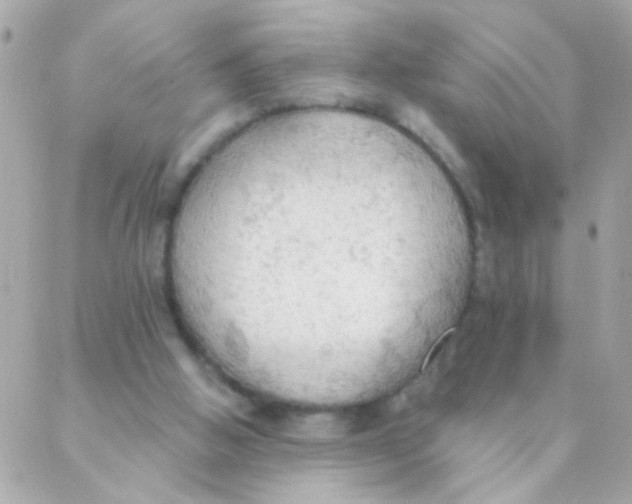 X0000088220058200706051333