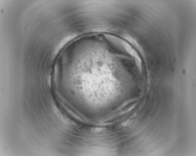 X0000088220060200706051333