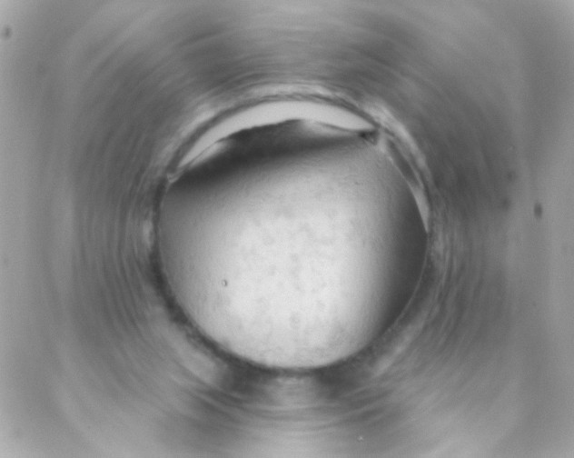 X0000088220063200706051333