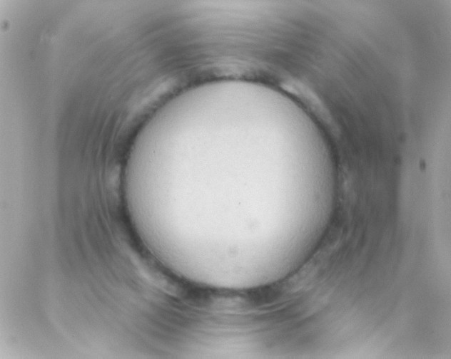 X0000088220066200706051333