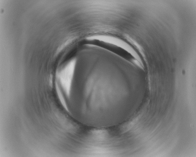 X0000088220067200706051333