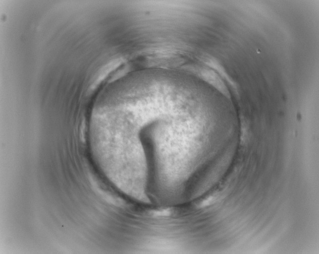 X0000088220068200706051333