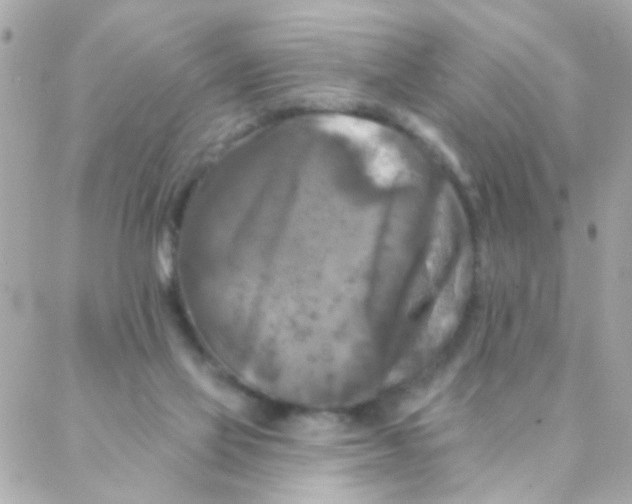 X0000088220069200706051333