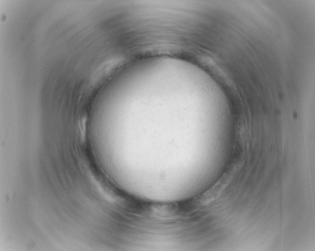 X0000088220070200706051333