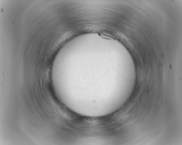 X0000088220071200706051333