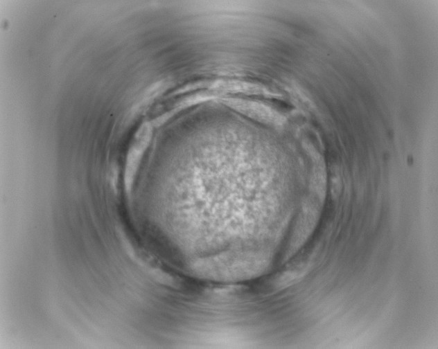 X0000088220072200706051333