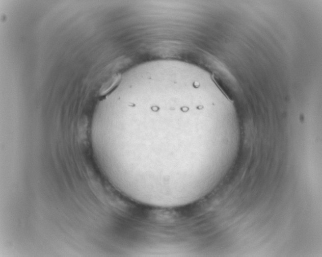 X0000088220073200706051333