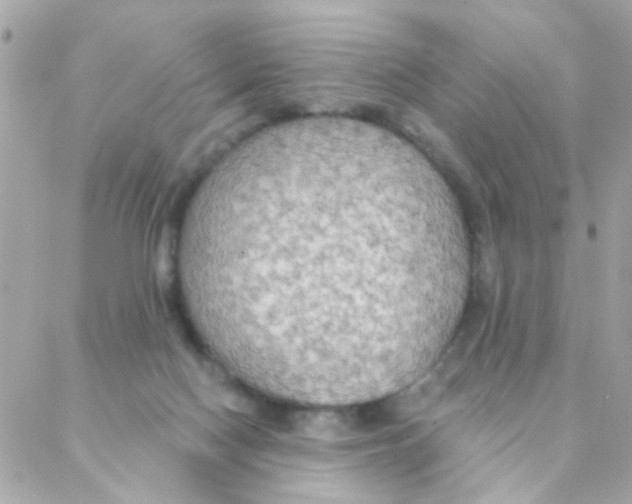 X0000088220074200706051333