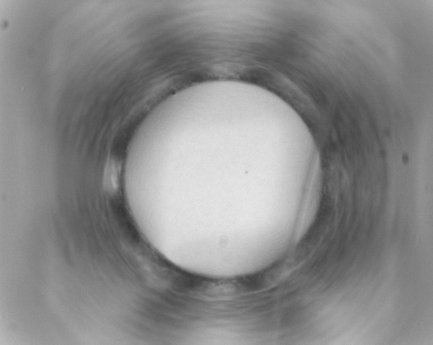 X0000088220075200706051333