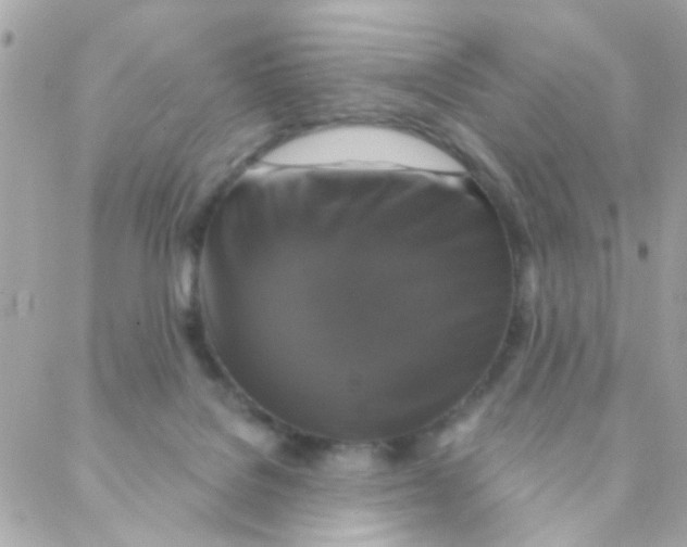 X0000088220076200706051333