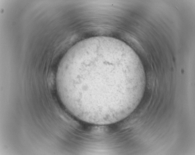 X0000088220077200706051333