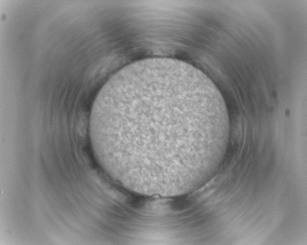 X0000088220078200706051333