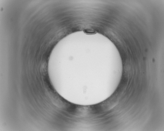 X0000088220079200706051333