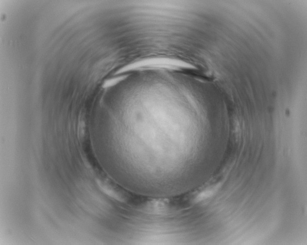 X0000088220080200706051333