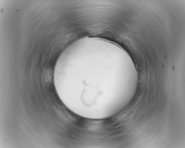 X0000088220081200706051333