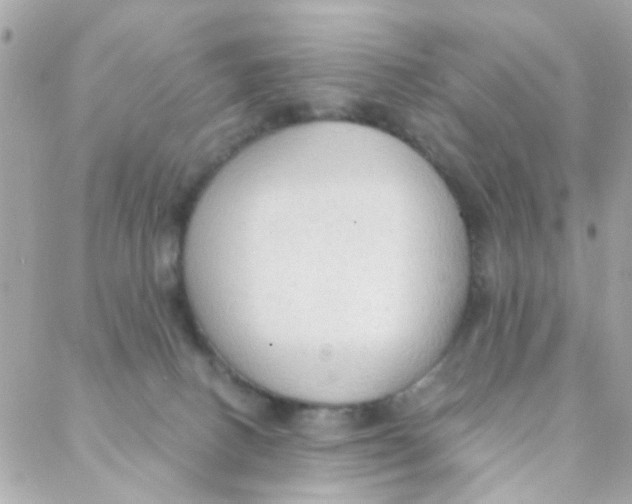 X0000088220082200706051333