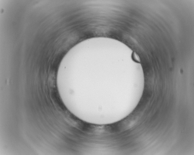 X0000088220083200706051333