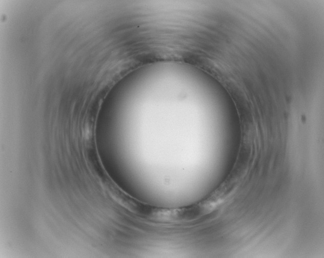 X0000088220084200706051333