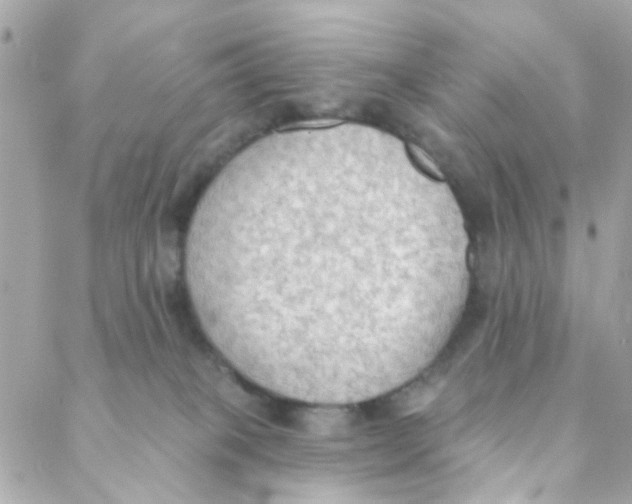 X0000088220085200706051333