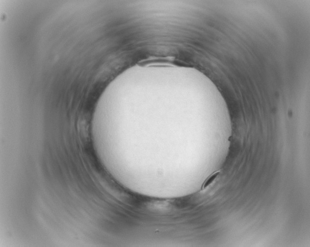 X0000088220086200706051333