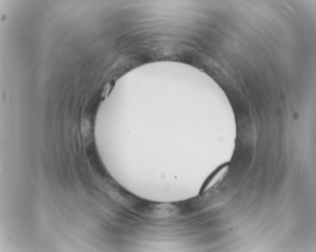 X0000088220087200706051333