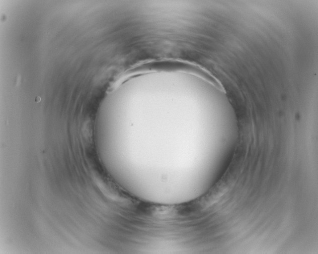 X0000088220088200706051333