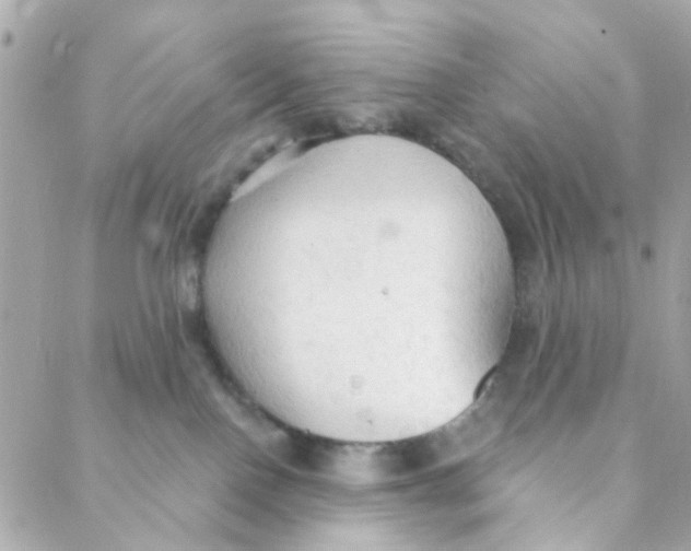 X0000088220090200706051333