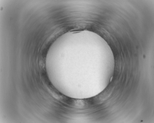 X0000088220091200706051333