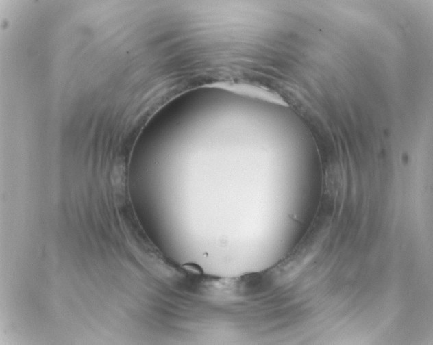 X0000088220092200706051333