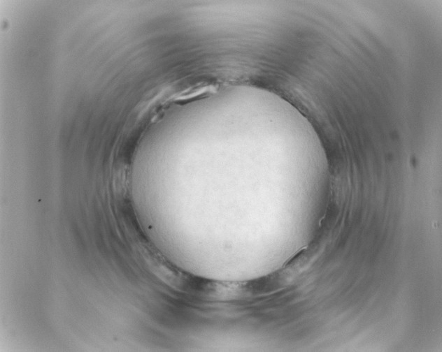 X0000088220093200706051333