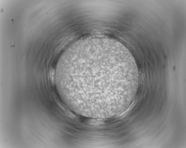 X0000088220094200706051333