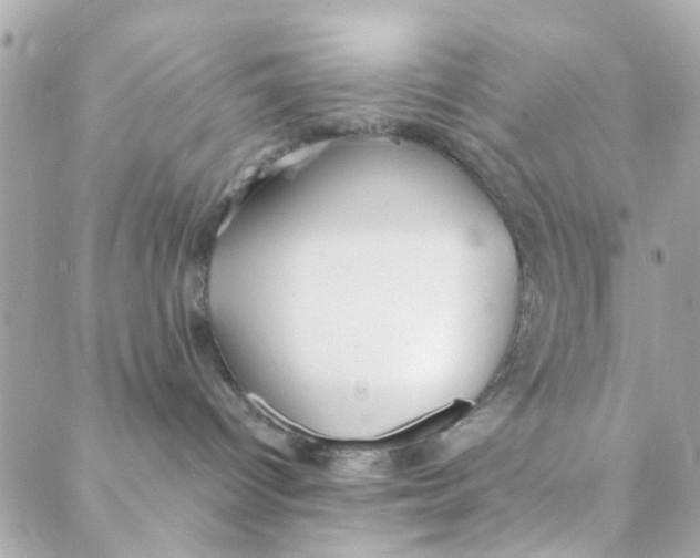 X0000088220096200706051333