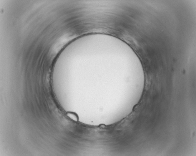 X0000088220098200706051332