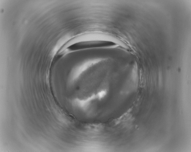 X0000088220099200706051332