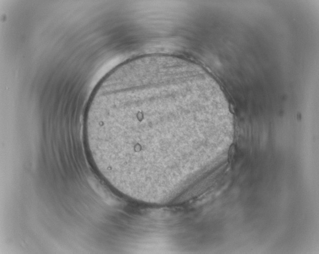 X0000088220100200706051332