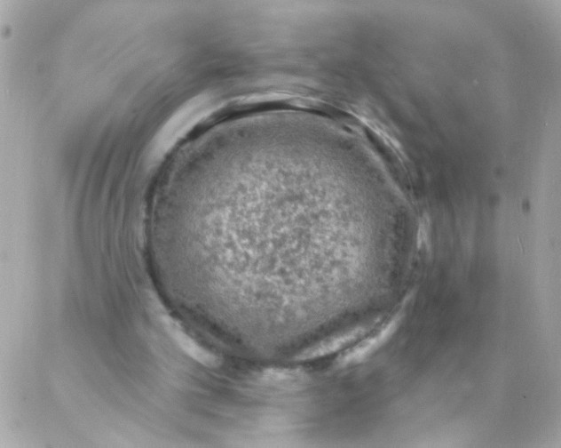 X0000088220101200706051332