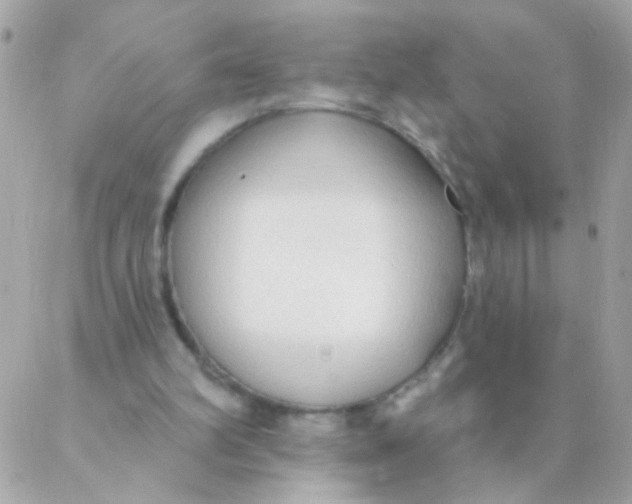 X0000088220102200706051332